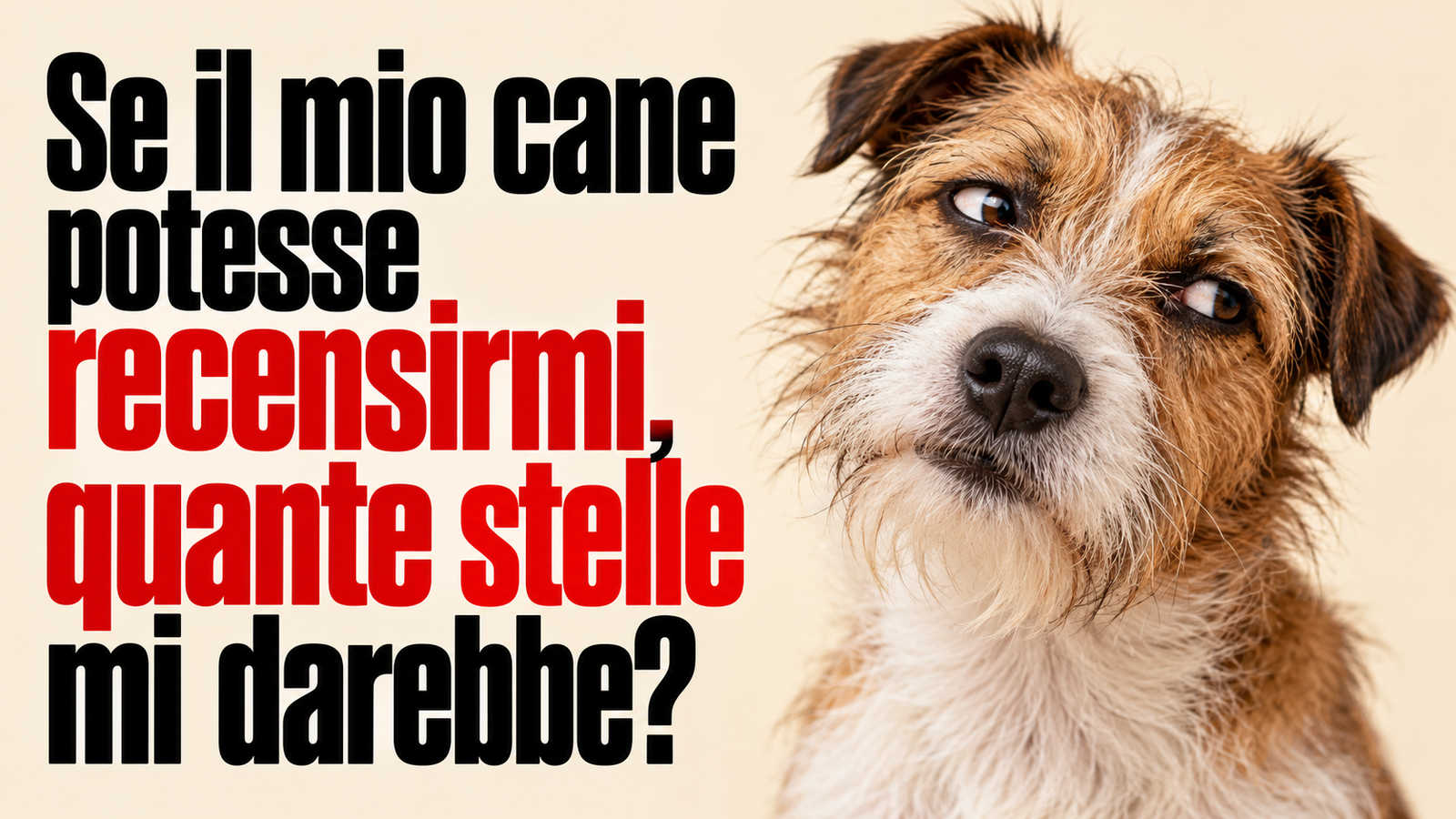 Se il mio cane potesse recensirmi, quante stelle mi darebbe?